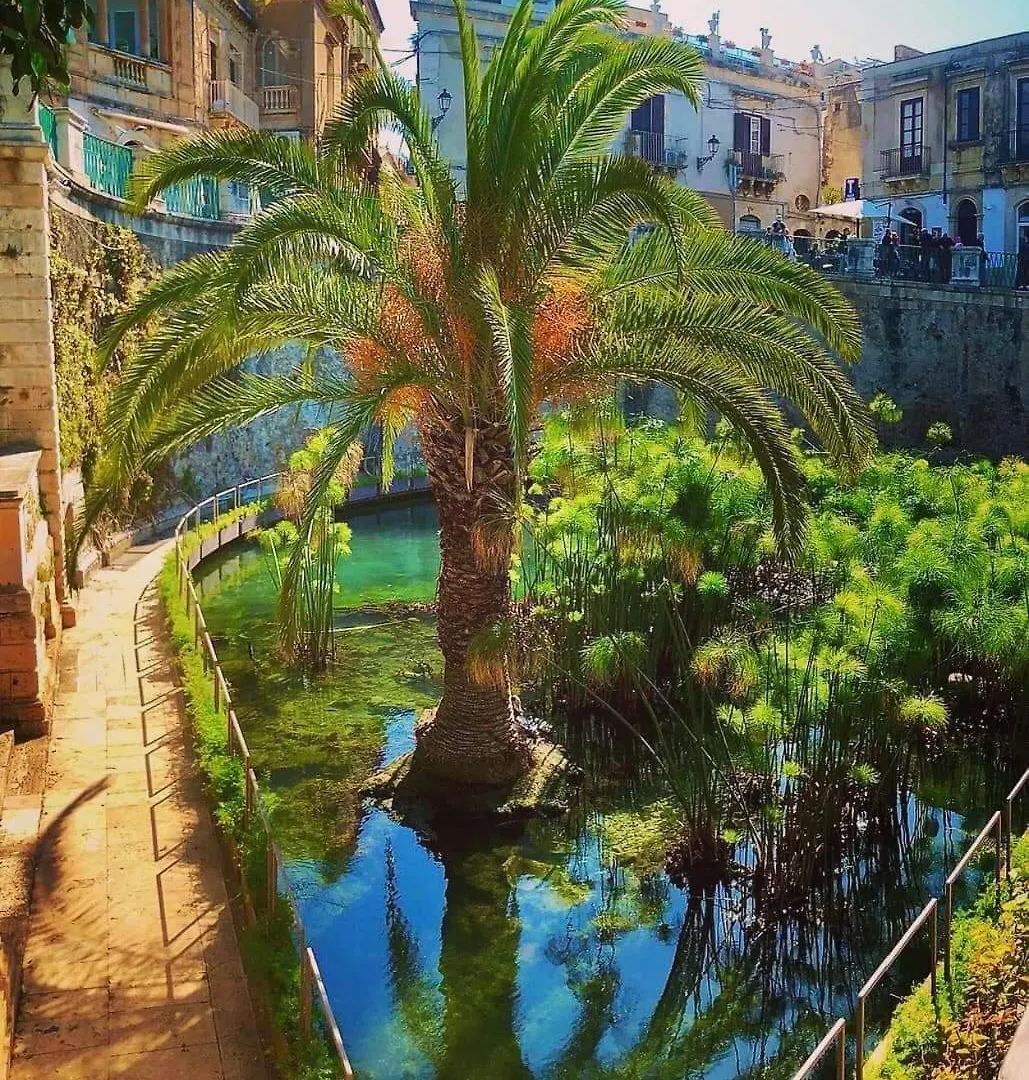 B&B Domus Pina Catania Italien