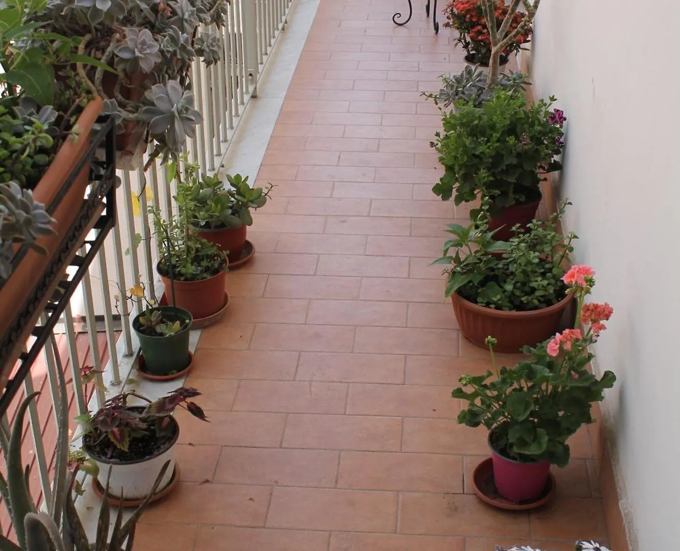 B&B Domus Pina Κατάνια